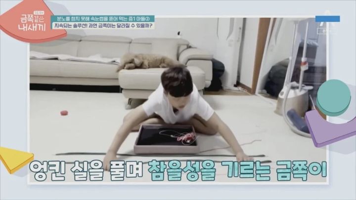 이번에 방송된 역대급 금쪽이 어이없는 결말 | 인스티즈