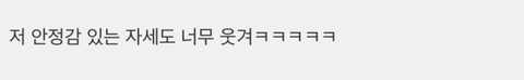 스웨터 입은 미어캣 너무 귀여워서 미치겠네ㅠㅠ | 인스티즈