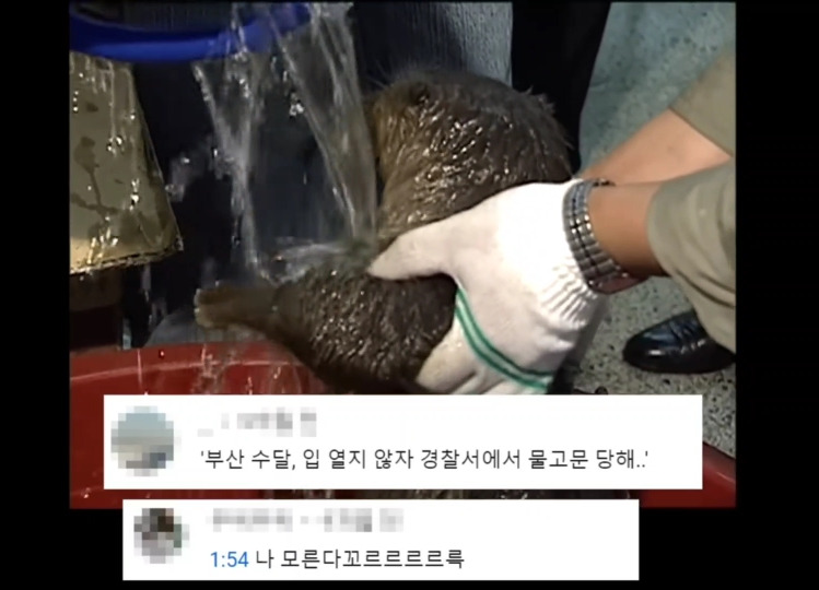 부산 사람 or 경상도 사람만 찐사랑이라고 함 | 인스티즈