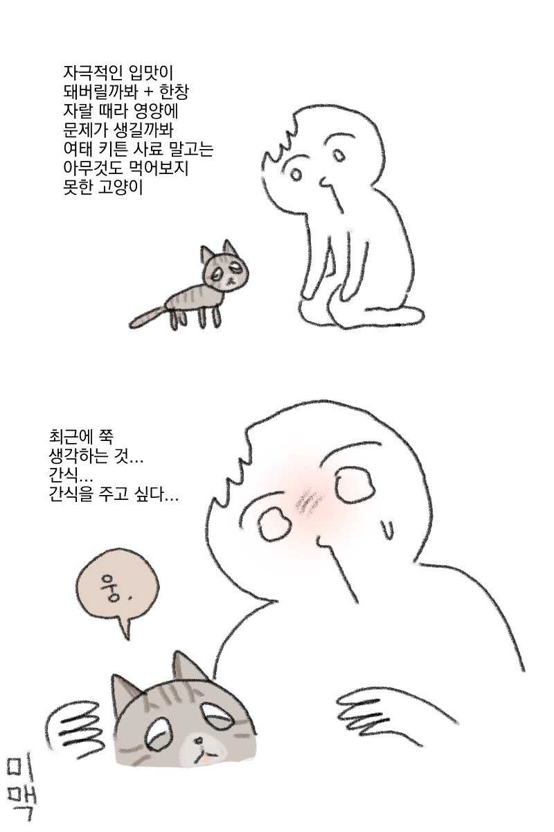 생후 3개월 이상의 고양이가 되기 위한 여정 | 인스티즈