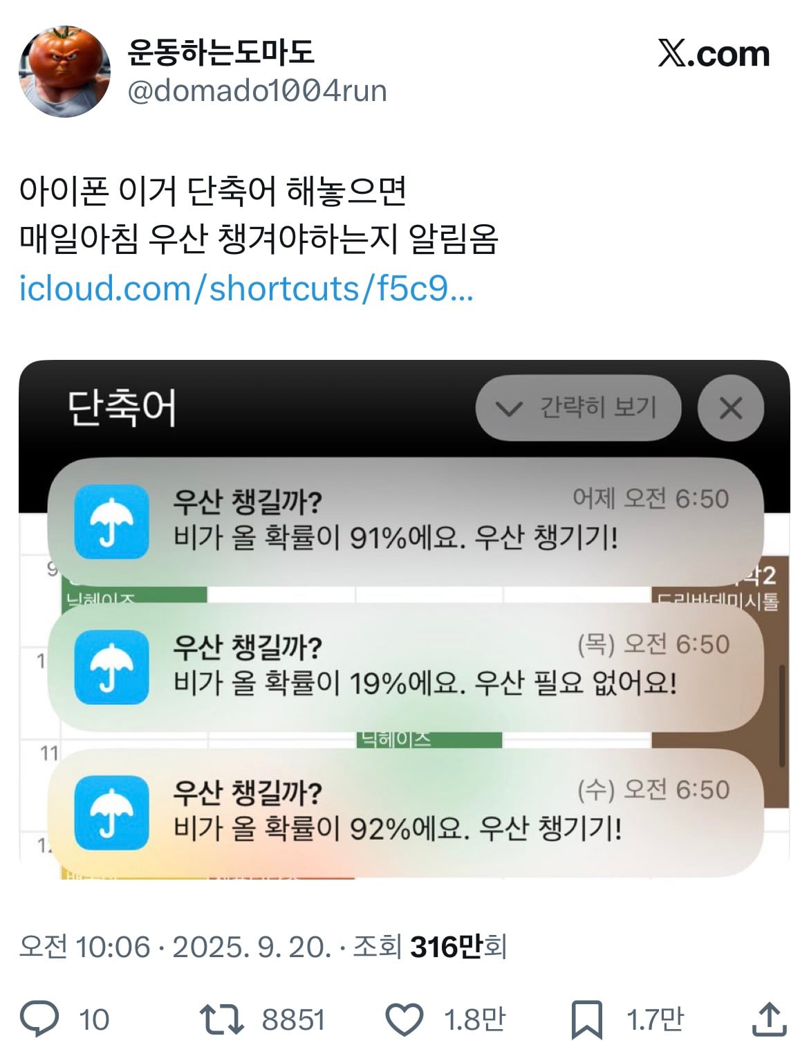 아이폰 이 단축어 해놓으면 매일 아침 우산 챙겨야하는지 알림 옴.twt | 인스티즈