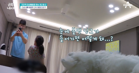 이번주 금쪽이에 나온 역대급 아빠.jpg | 인스티즈