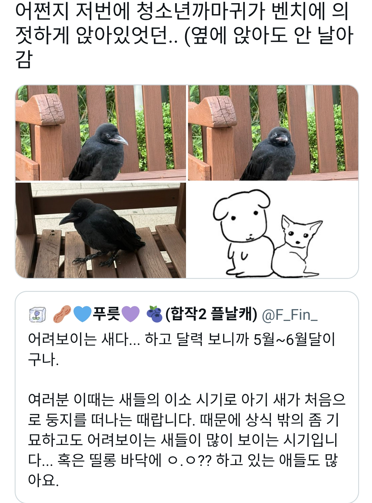 벤치에 멍하니 앉아있는 까마귀.jpg | 인스티즈