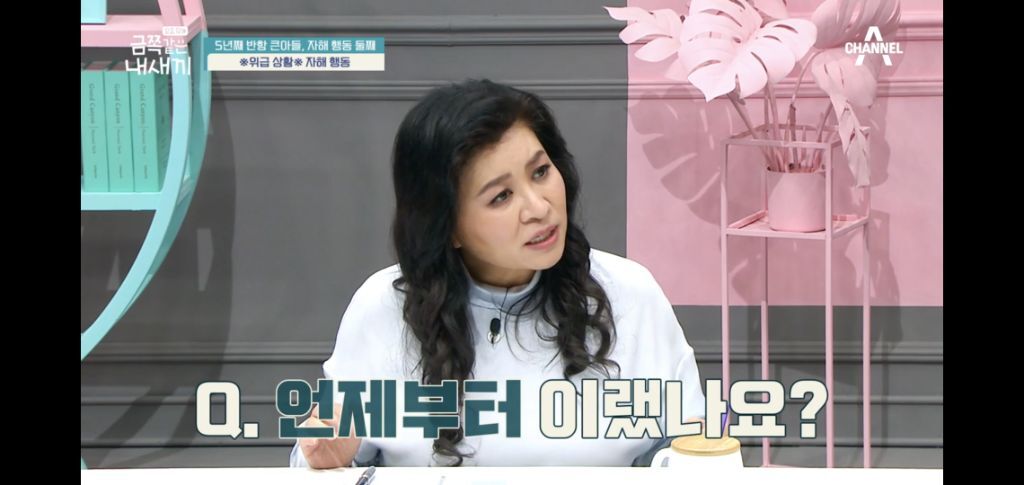 [종편] 자해행동을 하는 11살 이번주 금쪽이 둘째 (스압) | 인스티즈