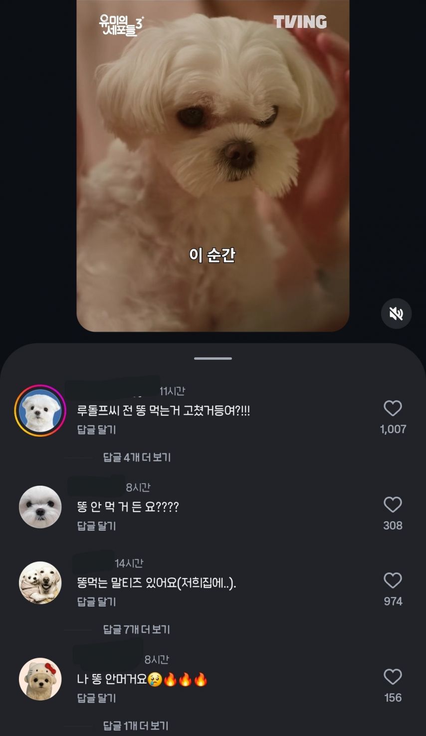 유미의 세포들 보고 전부 긁혀버린 전국 말티즈들 | 인스티즈