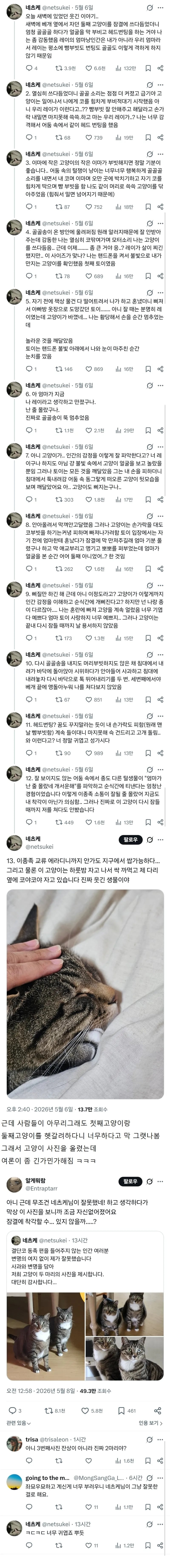 잠결에 고양이 헷갈린 사람 | 인스티즈