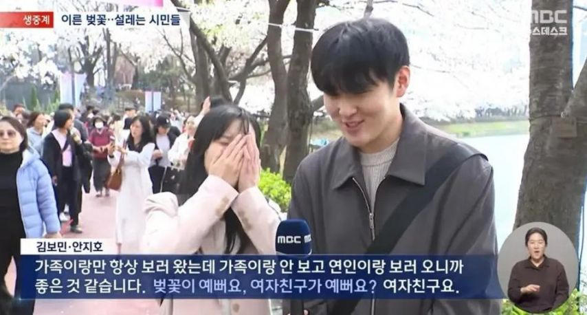 2년 만에 교체된 벚꽃 주접 | 인스티즈