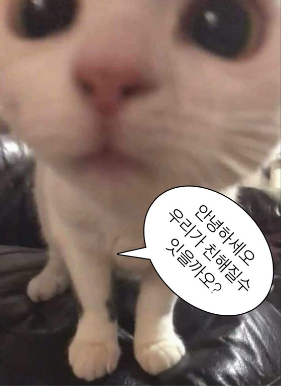 웃기고 하찮은 동물+말풍선 짤 모음 | 인스티즈
