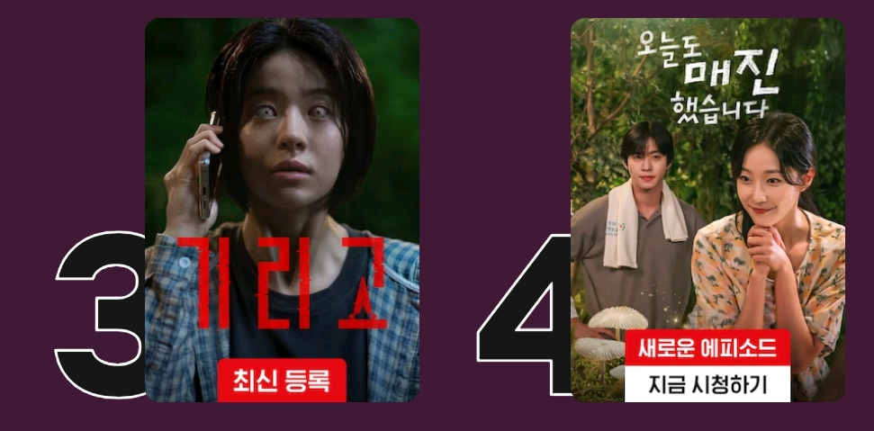 넷플릭스 오늘자 TOP 10 | 인스티즈