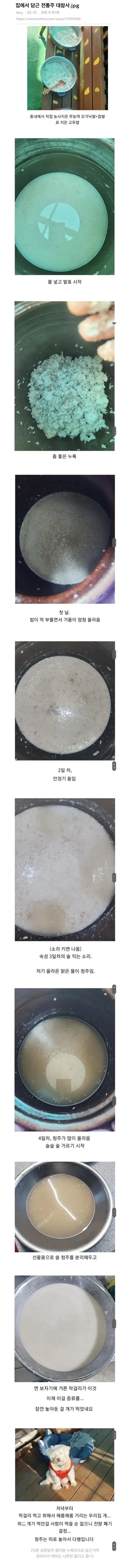 집에서 담근 전통주 대참사 | 인스티즈