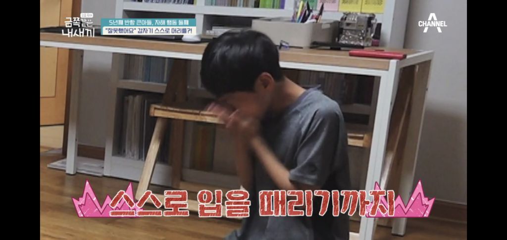 [종편] 자해행동을 하는 11살 이번주 금쪽이 둘째 (스압) | 인스티즈