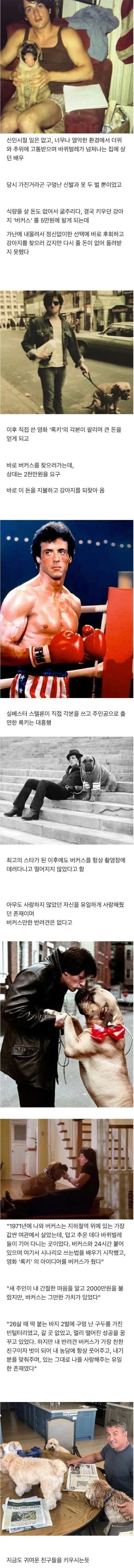 너무 가난해서 개를 40달러에 팔았던 배우 | 인스티즈