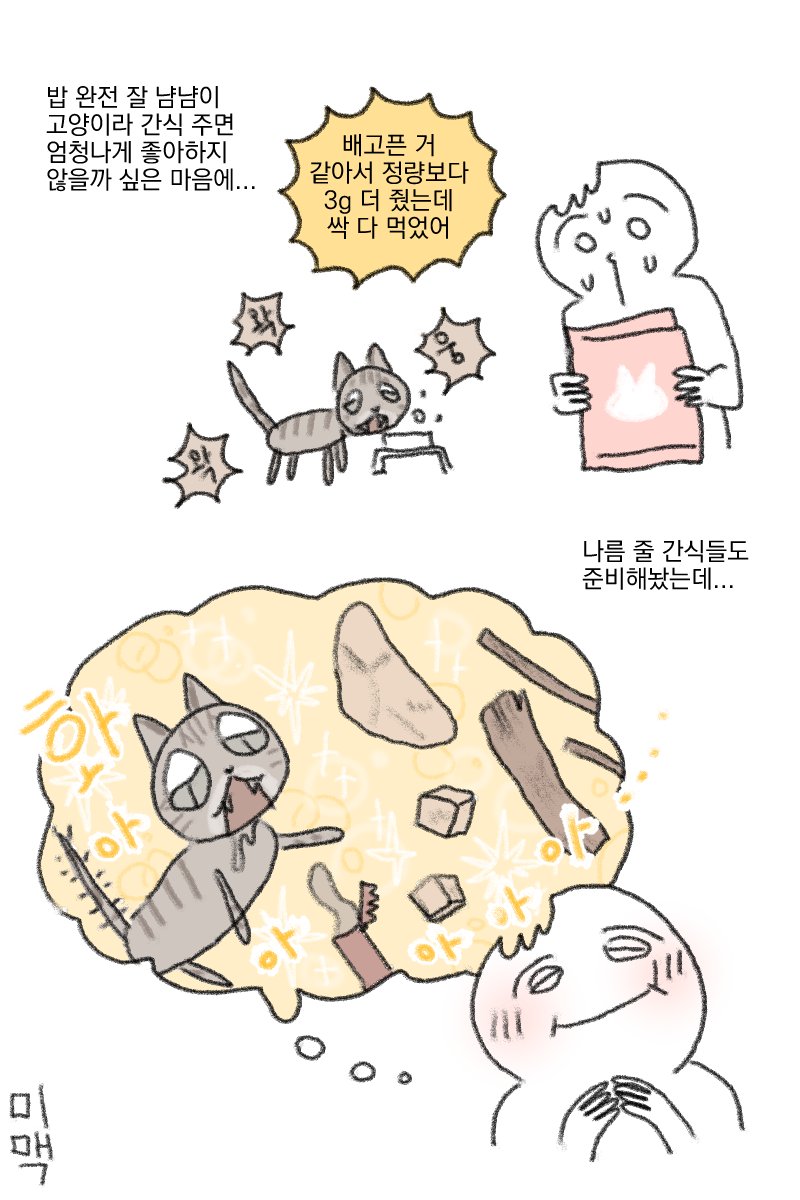 생후 3개월 이상의 고양이가 되기 위한 여정 | 인스티즈