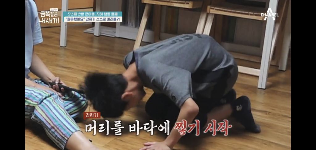 [종편] 자해행동을 하는 11살 이번주 금쪽이 둘째 (스압) | 인스티즈