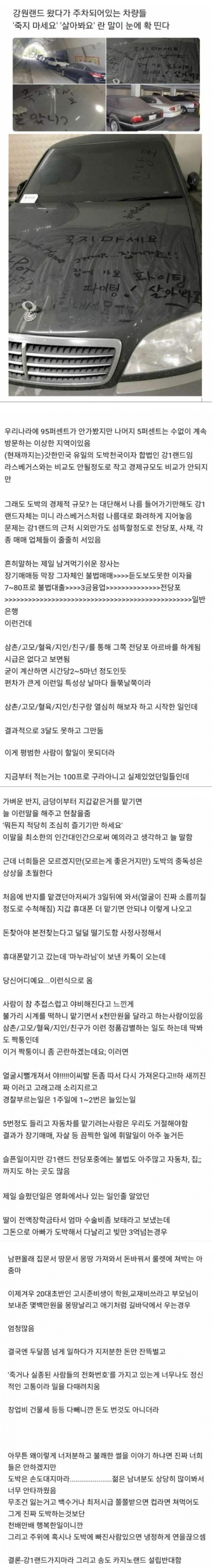 도박의 무서움을 보여주는 강원랜드 도박중독자들 | 인스티즈