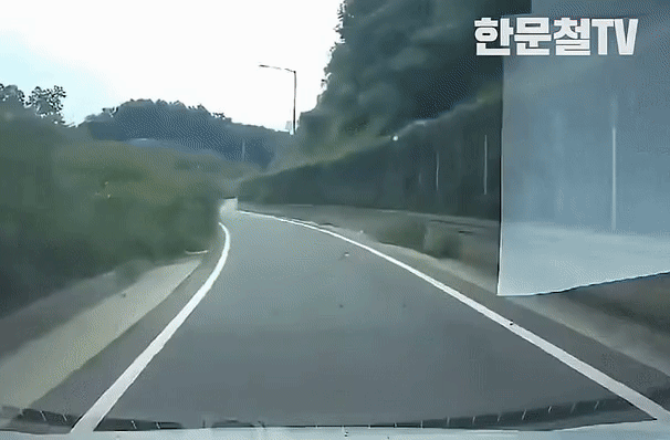 한문철TV 또 레전드 | 인스티즈