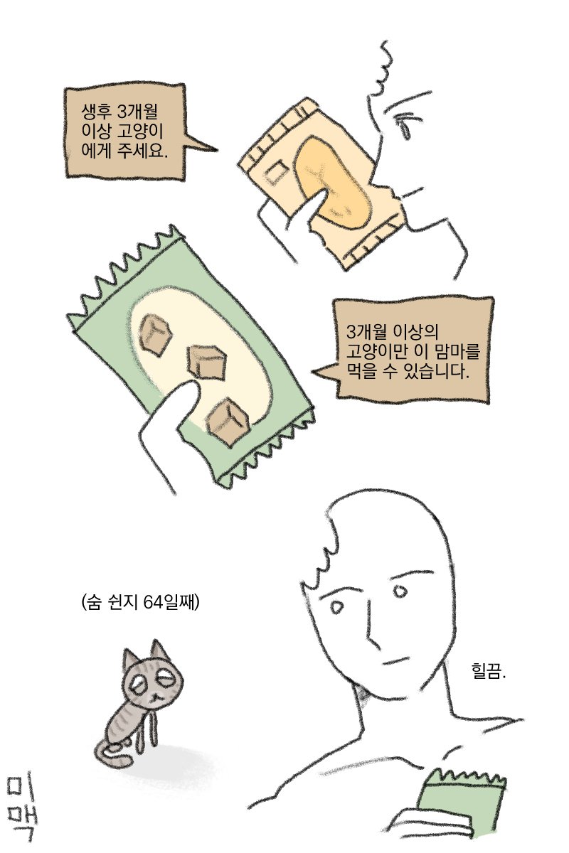 생후 3개월 이상의 고양이가 되기 위한 여정 | 인스티즈