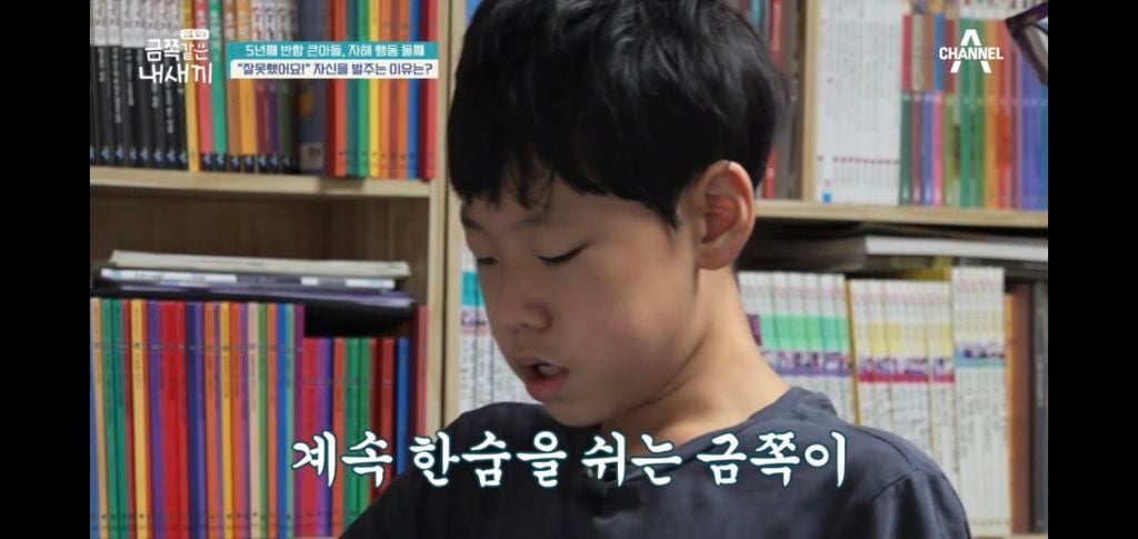 [종편] 자해행동을 하는 11살 이번주 금쪽이 둘째 (스압) | 인스티즈