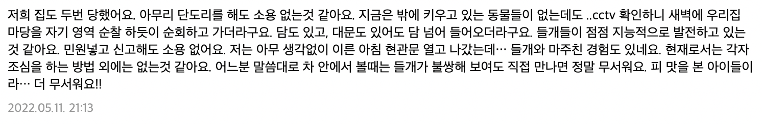 들개 2천 마리 넘는 것으로 추정되고 문제 심각하다는 제주도 ... | 인스티즈