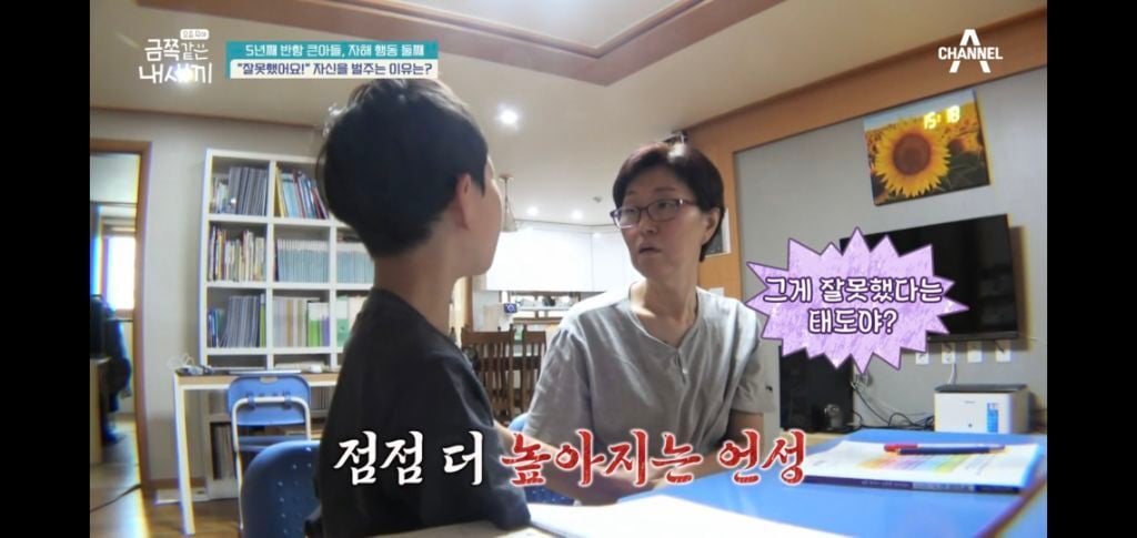 [종편] 자해행동을 하는 11살 이번주 금쪽이 둘째 (스압) | 인스티즈