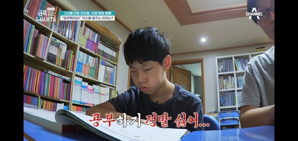 [종편] 자해행동을 하는 11살 이번주 금쪽이 둘째 (스압) | 인스티즈