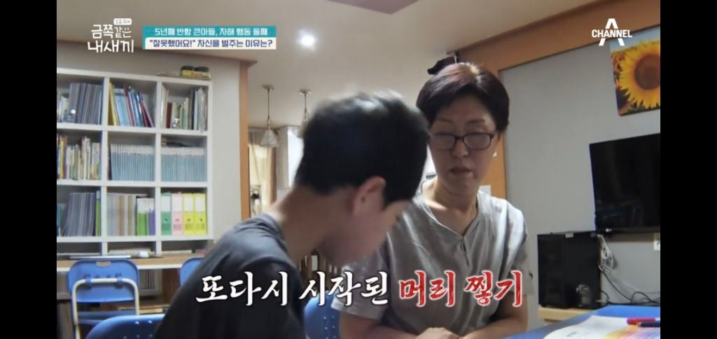 [종편] 자해행동을 하는 11살 이번주 금쪽이 둘째 (스압) | 인스티즈