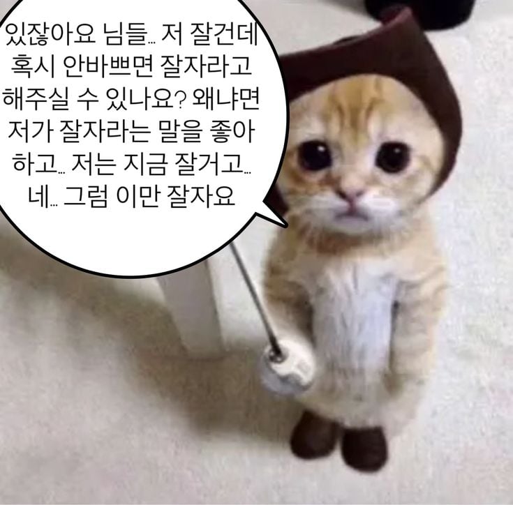 웃기고 하찮은 동물+말풍선 짤 모음 | 인스티즈