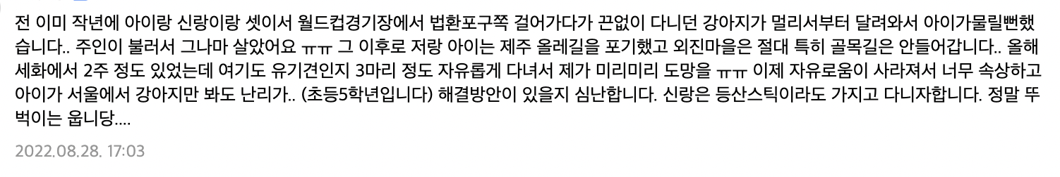 들개 2천 마리 넘는 것으로 추정되고 문제 심각하다는 제주도 ... | 인스티즈