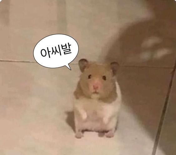 웃기고 하찮은 동물+말풍선 짤 모음 | 인스티즈
