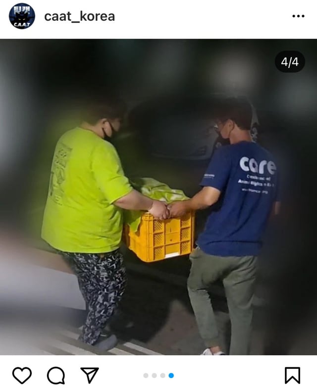 디씨인사이드 야옹이 갤러리 역대만행정리 (잔인함 주의) 사진 | 인스티즈