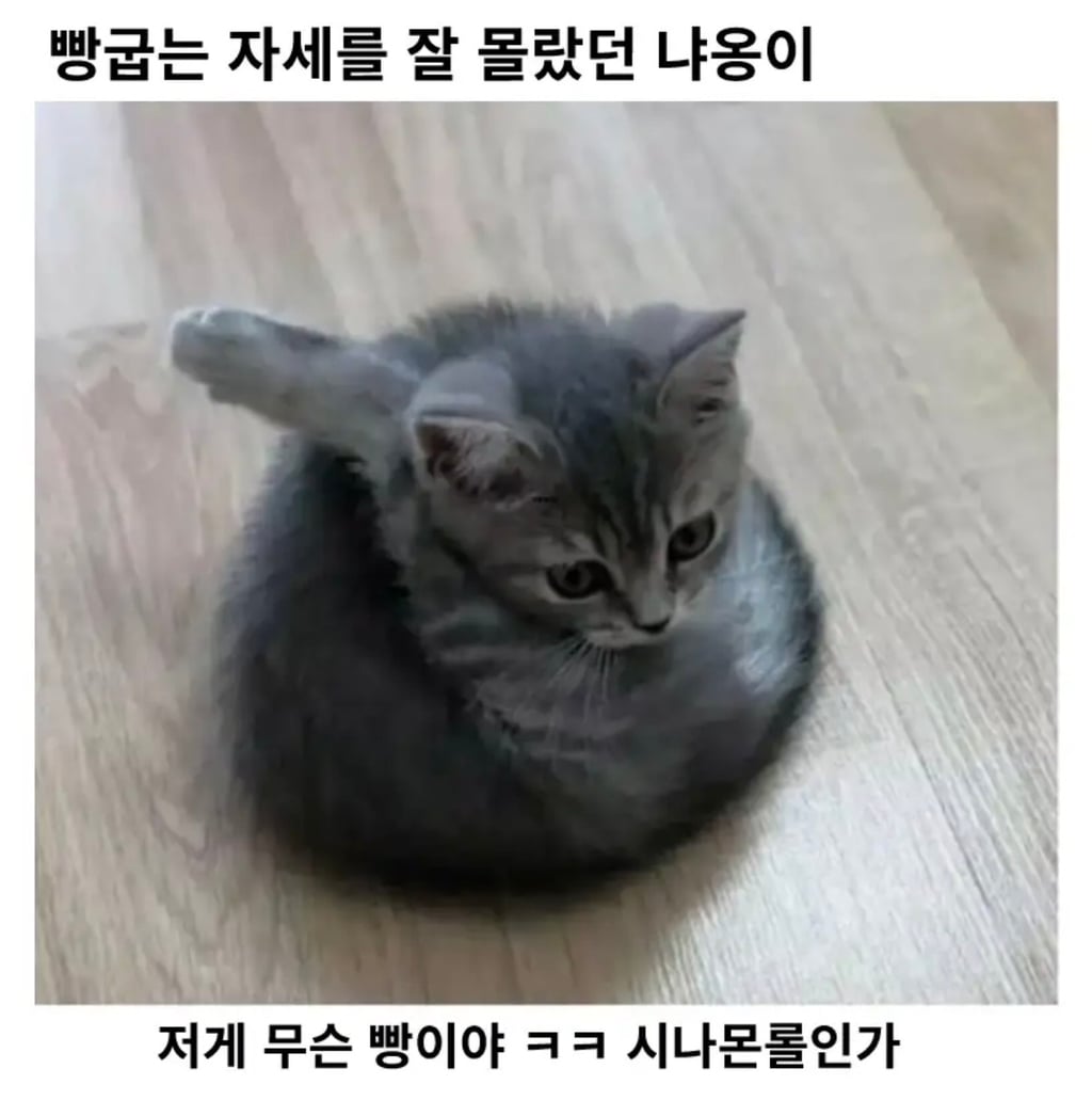 보문산 작은 메아리 | 인스티즈