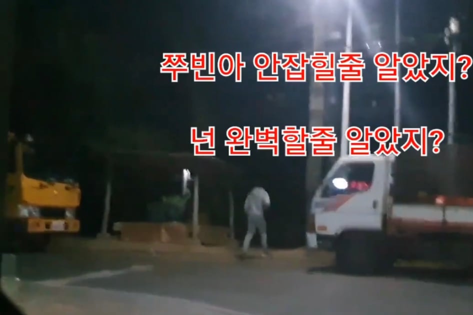 디씨인사이드 야옹이 갤러리 역대만행정리 (잔인함 주의) 사진 | 인스티즈