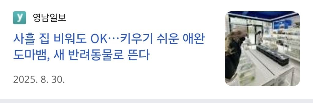 파충류판의 고질병인 '입양병' | 인스티즈