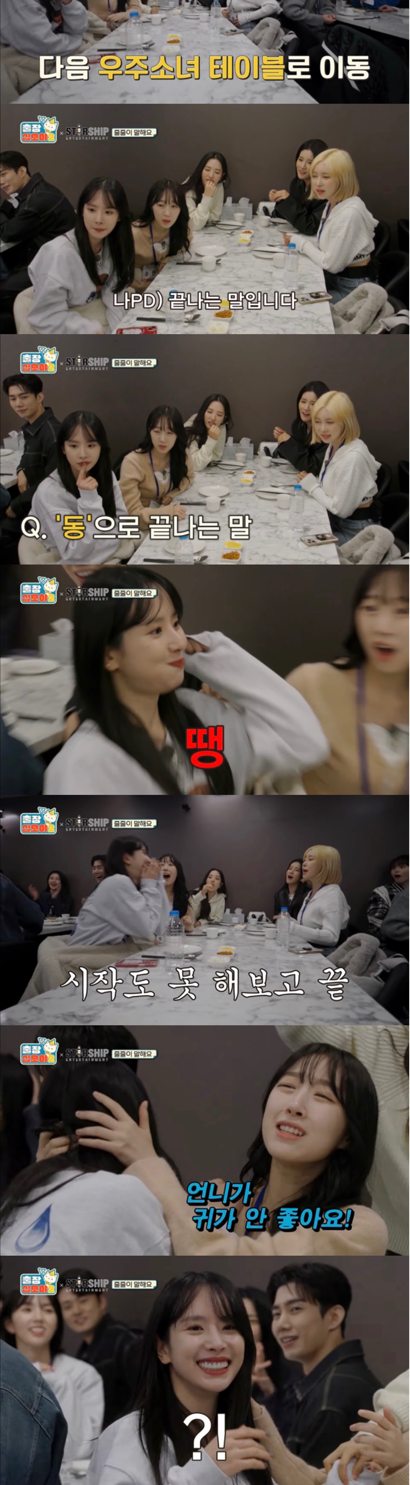 [출장십오야2] 31명 인원수만큼 웃긴 스타쉽 야유회 | 인스티즈