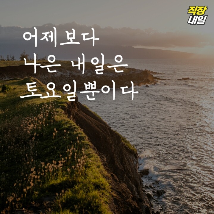 직장인 현실 명언 11가지 | 인스티즈