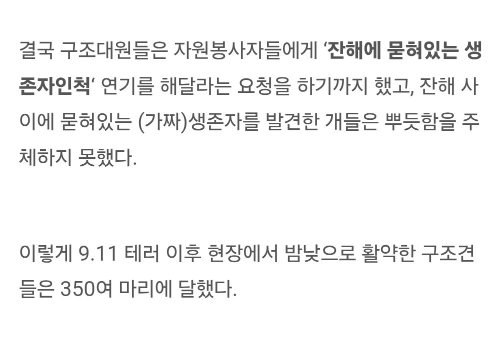 구조견 멍멍이들이 생존자 계속 발견 못하면 우울증 온다고... | 인스티즈