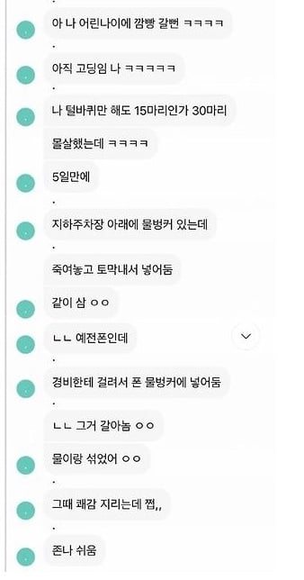 디씨인사이드 야옹이 갤러리 역대만행정리 (잔인함 주의) 사진 | 인스티즈