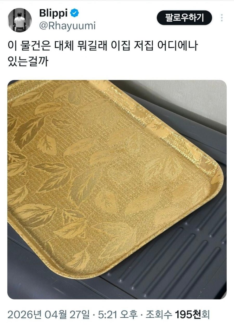 이 쟁반은 뭐길래 어디에나 있는걸까 | 인스티즈