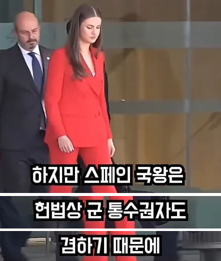 육해공군 모두를 입대한 스페인 공주(계승서열 1위) | 인스티즈