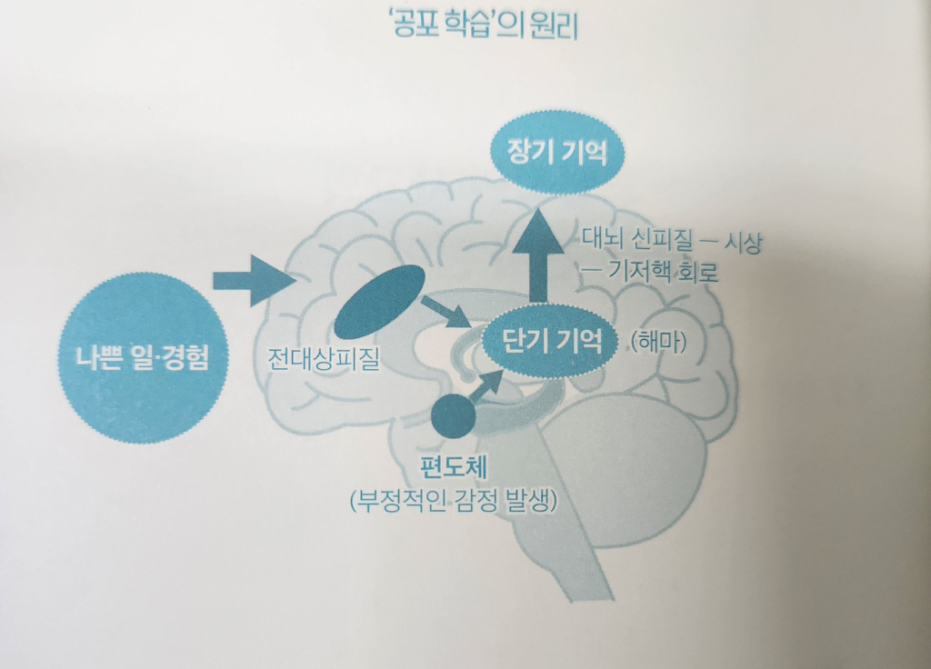 인생이 거절당함과 망신당함으로만 이루어진 사람은 어떻게 살아가야할까 | 인스티즈