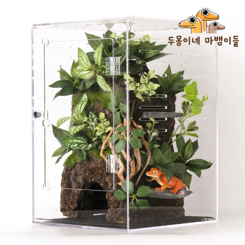 파충류판의 고질병인 '입양병' | 인스티즈