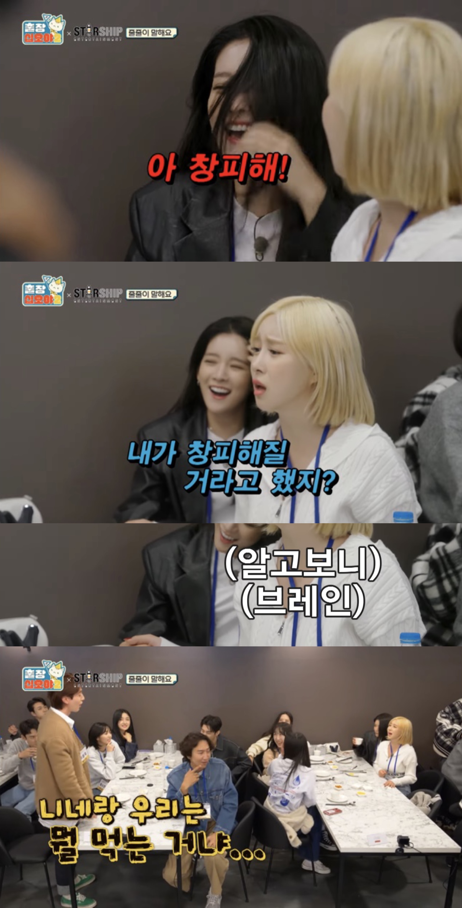 [출장십오야2] 31명 인원수만큼 웃긴 스타쉽 야유회 | 인스티즈