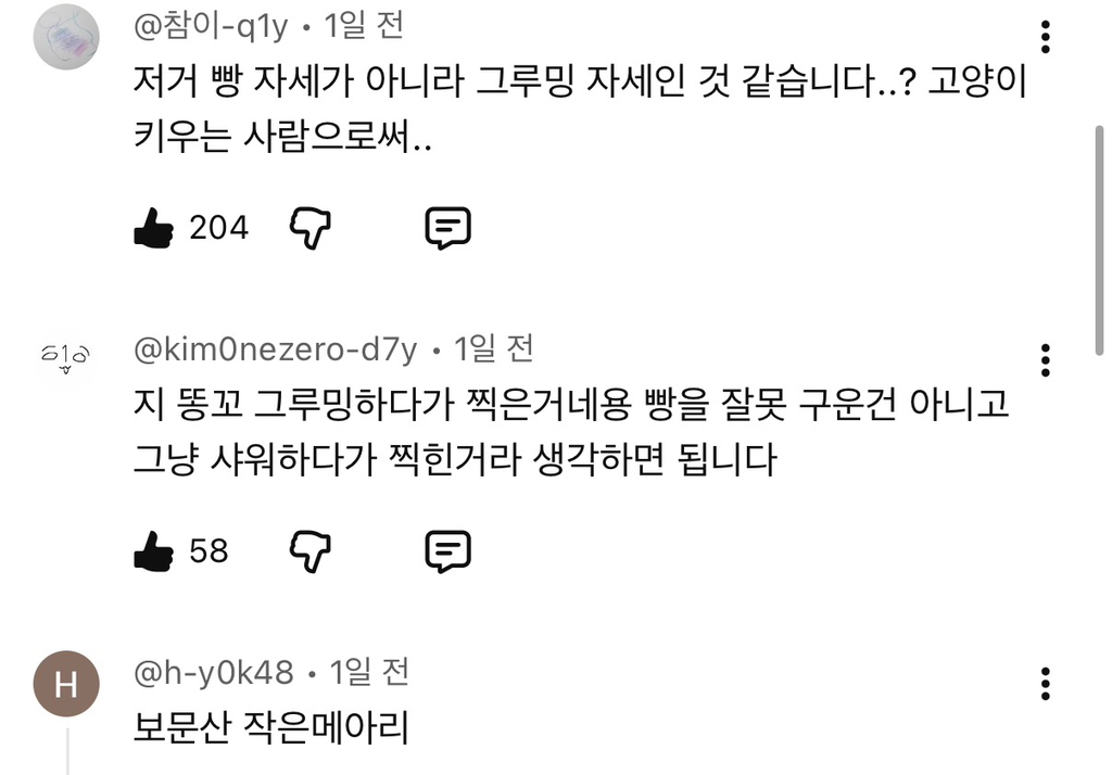 보문산 작은 메아리 | 인스티즈