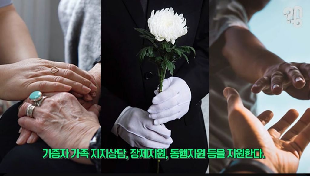 장기기증하면 장기만 떼가고 유족한테 알아서 처리하라던데 아님!! 장기기증제도의 변화.2026ver | 인스티즈