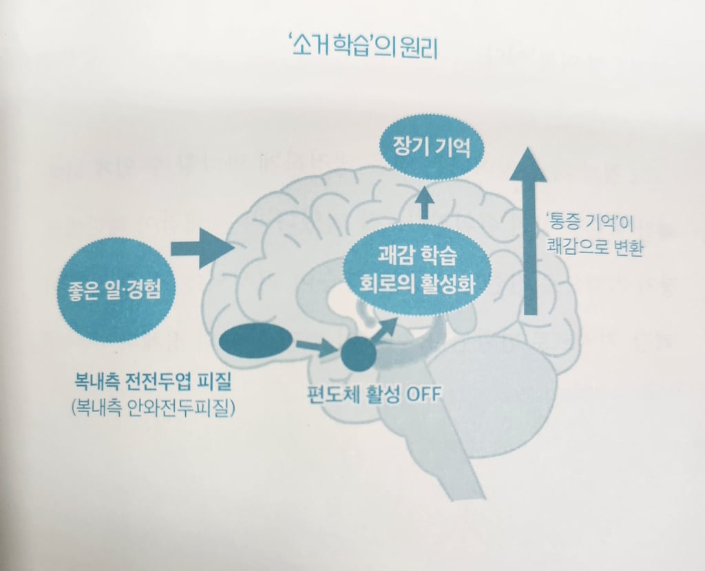 인생이 거절당함과 망신당함으로만 이루어진 사람은 어떻게 살아가야할까 | 인스티즈