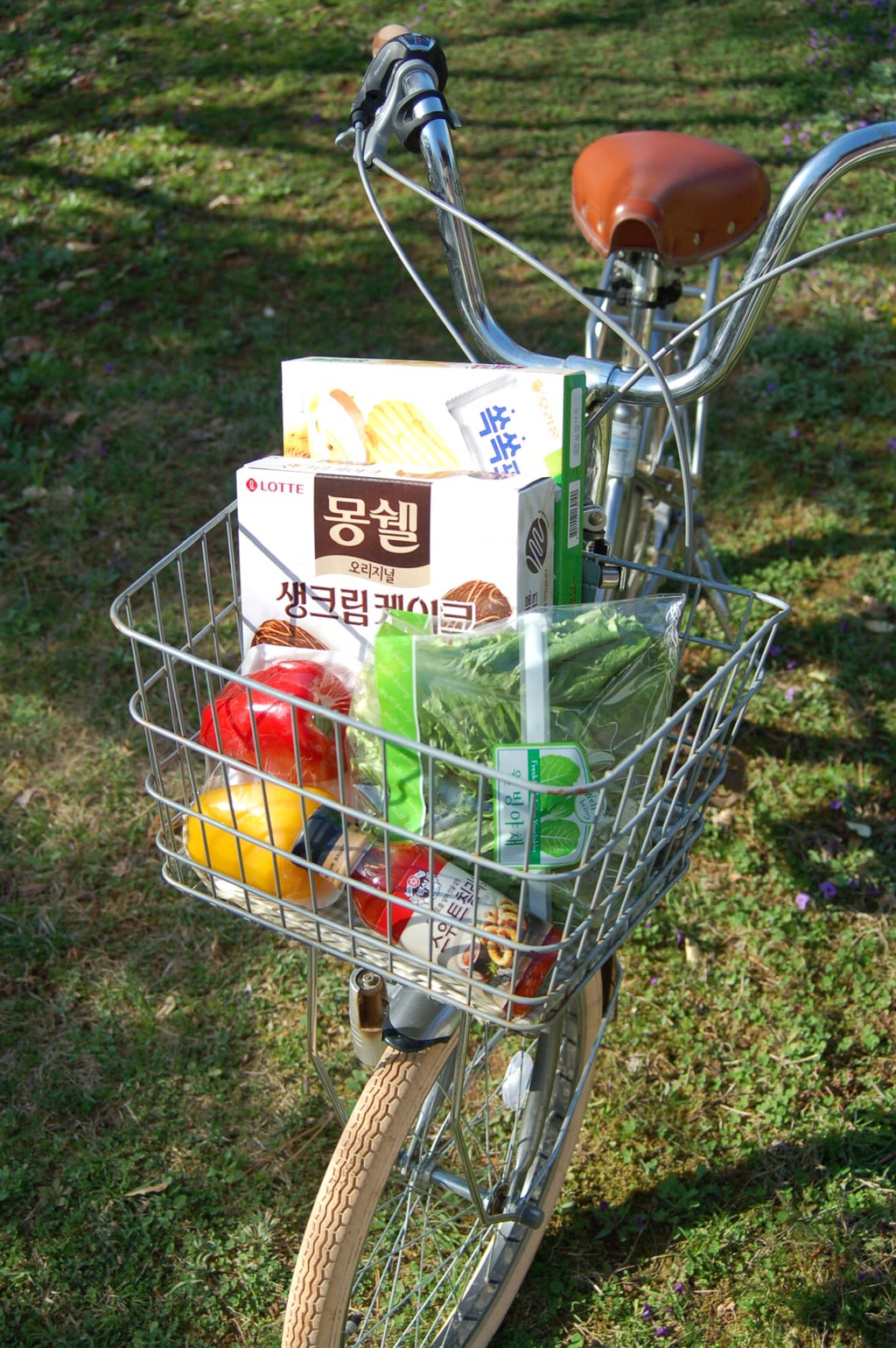 반년동안 모은 자전거 바구니 사진 🚲✨🌿 | 인스티즈