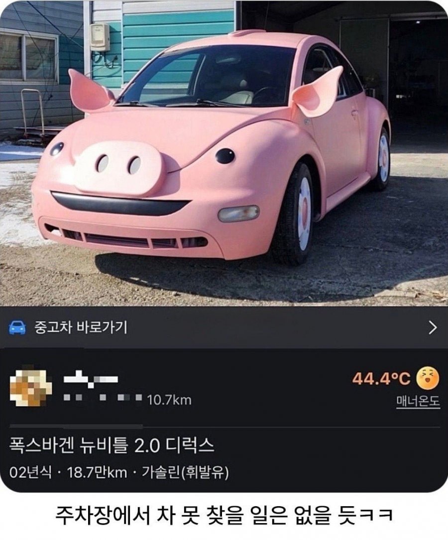 당근에 나온 돼지 폭스바겐 | 인스티즈