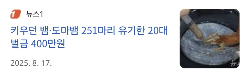 파충류판의 고질병인 '입양병' | 인스티즈