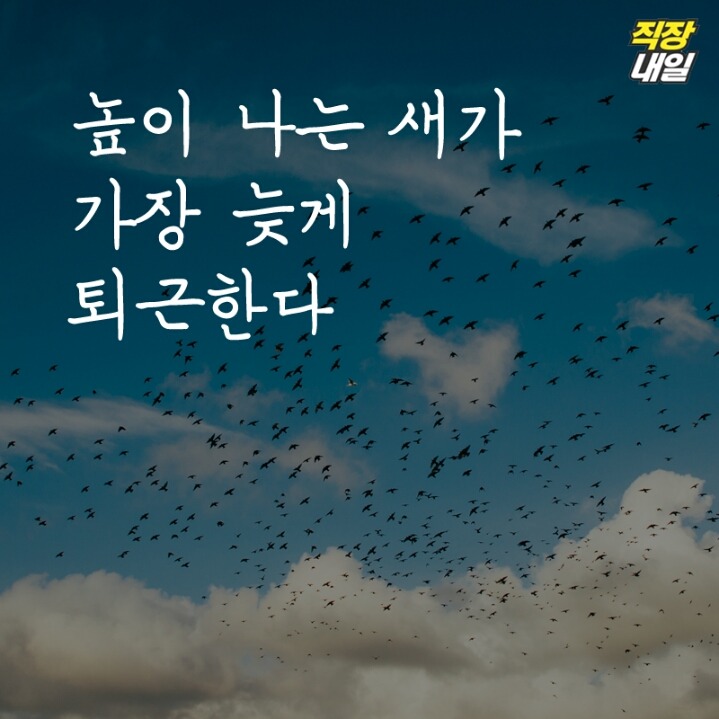 직장인 현실 명언 11가지 | 인스티즈
