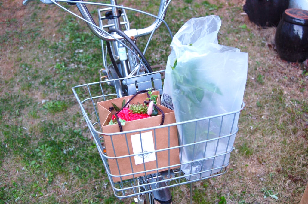 반년동안 모은 자전거 바구니 사진 🚲✨🌿 | 인스티즈